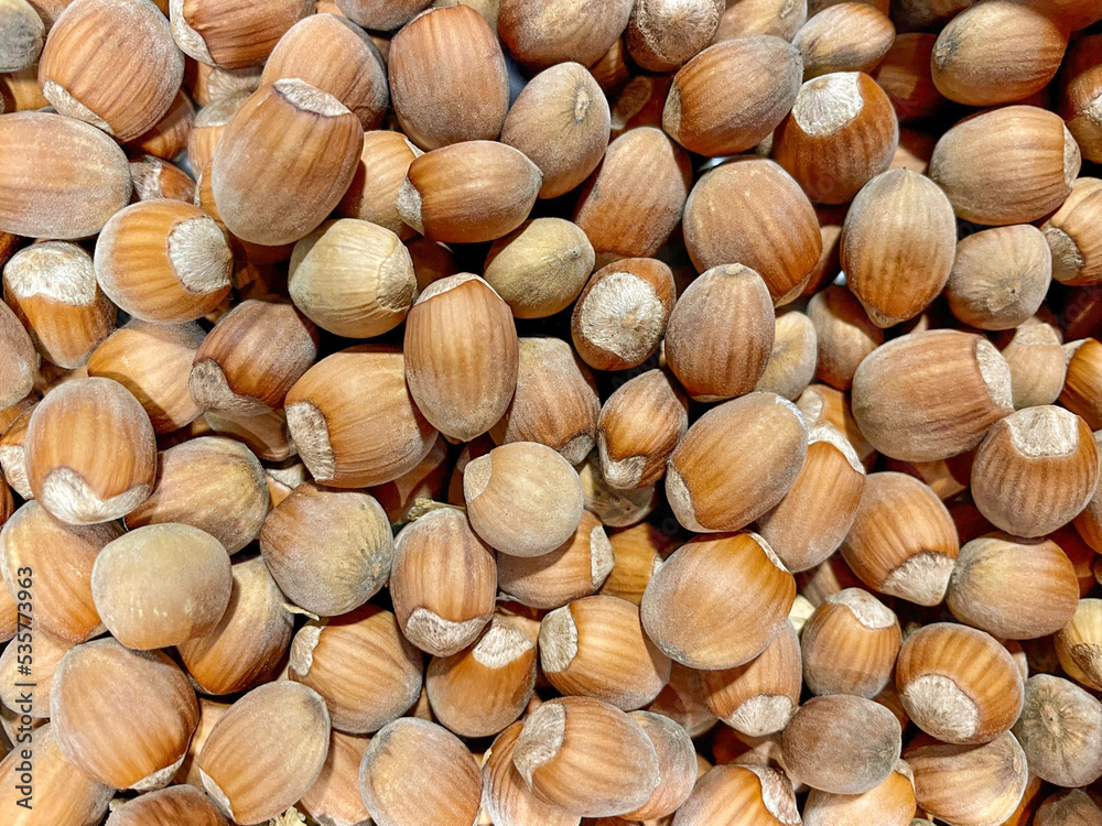Hazelnut in the husk close-up. Hazelnut background. Hazelnut in the husk close-up. Hazelnut background.