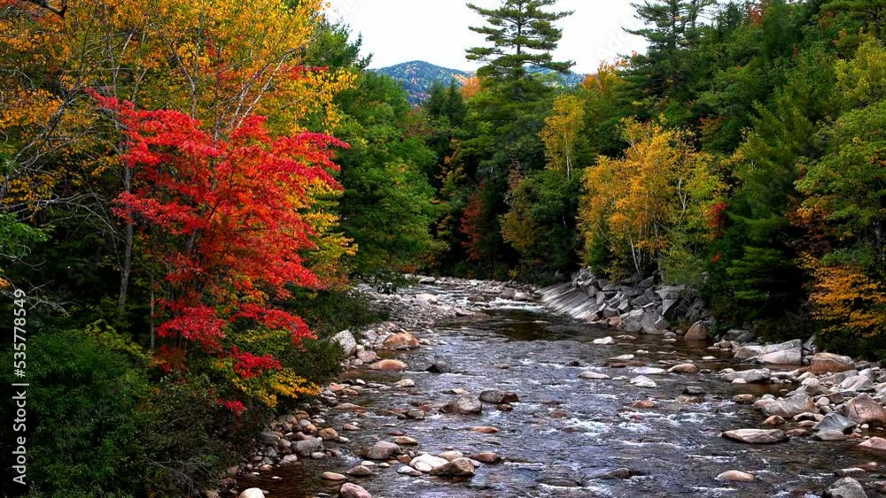 Beautiful foliage colors from White Mountains near Swift River Beautiful foliage colors from White Mountains near Swift River