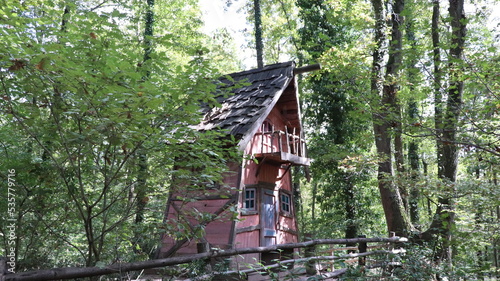 house in the forest © merve