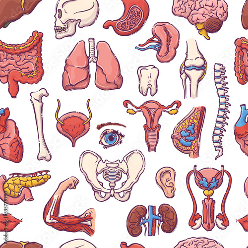 Humans and animals internal organs. Seamless pattern of body parts on a medical theme for posters, leaflets, books, stickers. Human organ anatomy set. Vector hand drawn style illustration.