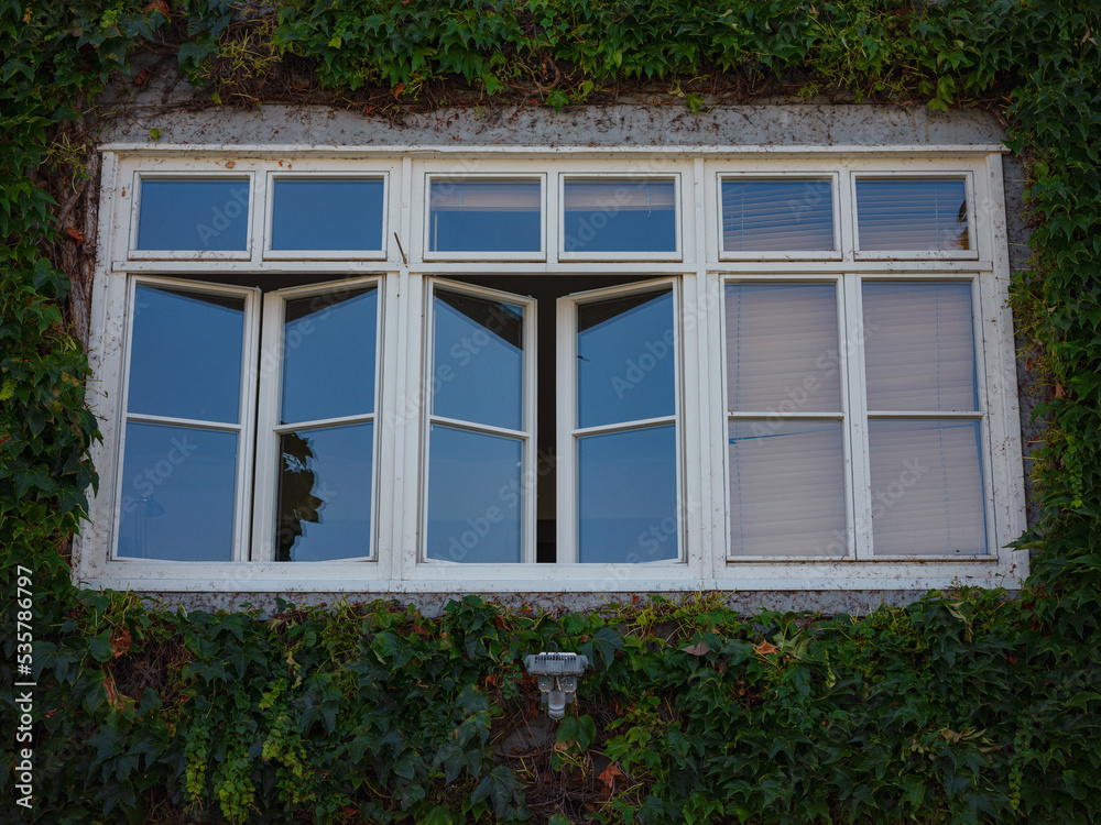 Buildings in the city centre of Basel , Switzerland. old european house with vintage windows and ivy-covered