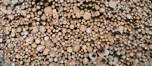 Stack of felled tree trunks at a logging site, natural wooden background