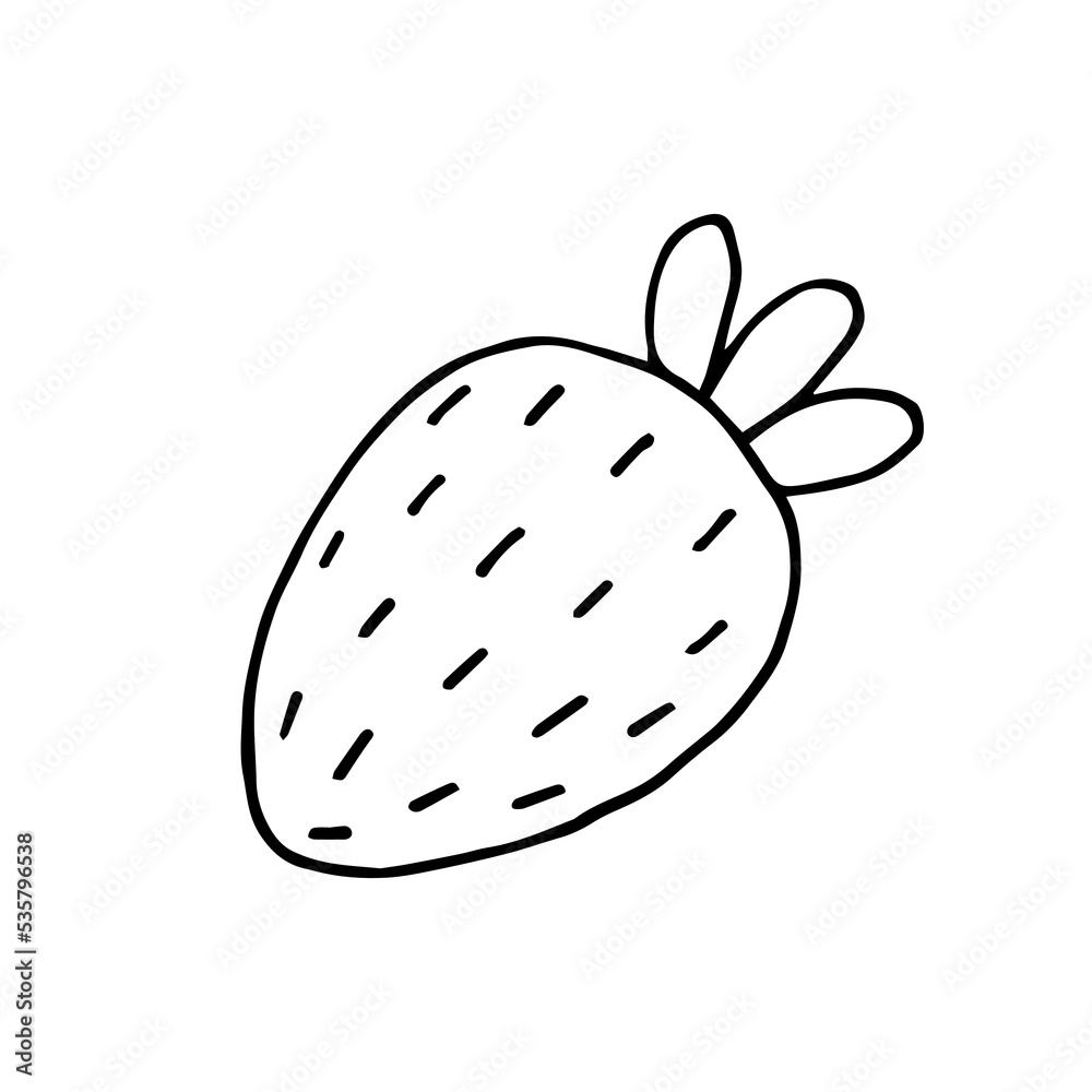 Strawberry. Wild berry. Healthy natural food. Vitamins. Vegetarian. Vector. Doodle. Hand-drawn illustration. Sketch. Silhouette. Black and white. Contour. Coloring Strawberry. Wild berry. Healthy natural food. Vitamins. Vegetarian. Vector. Doodle. Hand-drawn illustration. Sketch. Silhouette. Black and white. Contour. Coloring