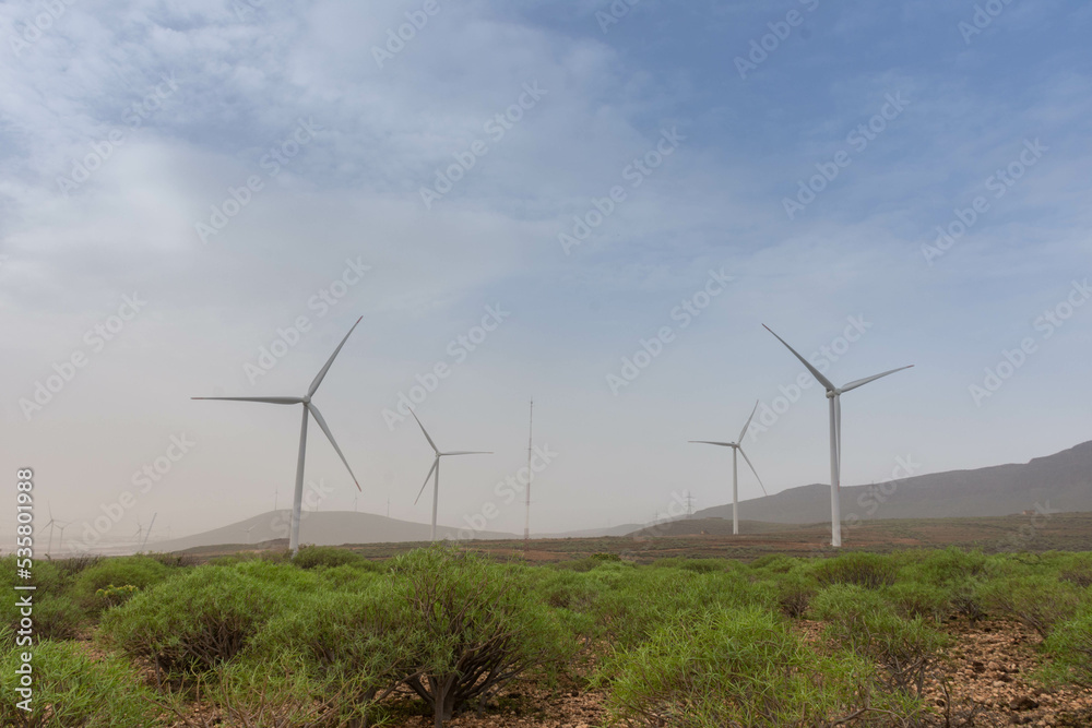 Landscape with desert plants and four big windmills 