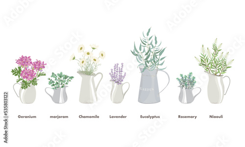 ピッチャーに入った芳香植物・精油＆アロマ・ゼラニウム・マジョラム・カモミール・ラベンダー・ユーカリ