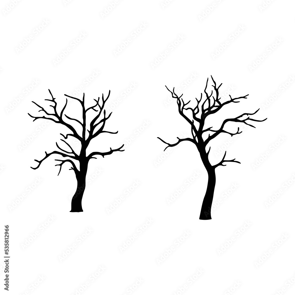 Fototapeta premium silhouette of a tree isolated. Isolated Dead tree on the white background. Dead tree silhouettes. 