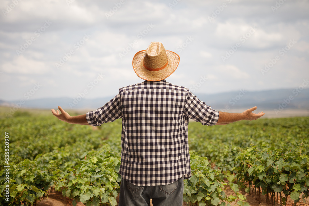 Farmer with a straw hat looking at a grapevine field