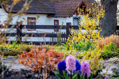 Flowers and ukrainian house countryside