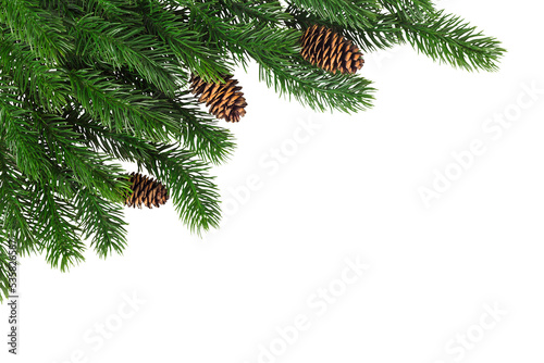 Fototapet Fir branches with cones in the corner on a white background
