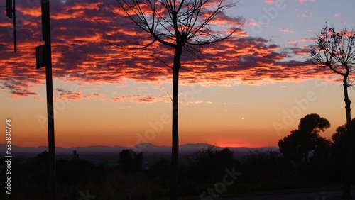 фотографія Beautiful sunset in a city with leafless tree silhouettes in the forefront