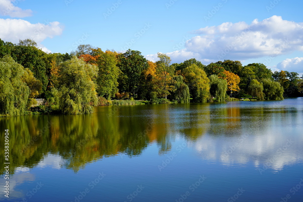 autumn in the park autumn in the park