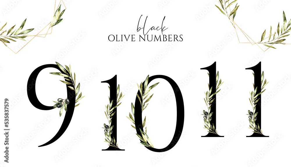 Watercolor olive number 9,10,11 illustration. Greenery leaves,branch ...