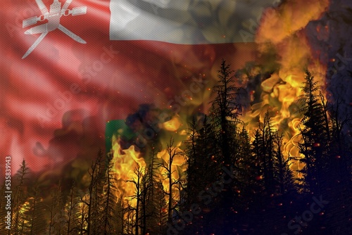 Forest fire fight concept  natural disaster - burning fire in the woods on Oman flag background - 3D illustration of nature