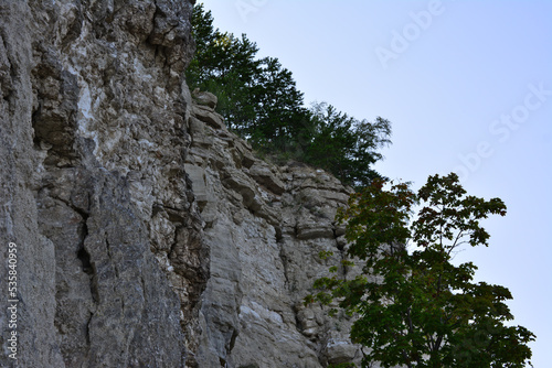 mountain wall with green bushes on the top in the shadow © Irina