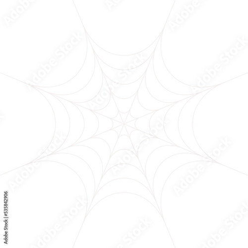 spider web isolate , halloween concept