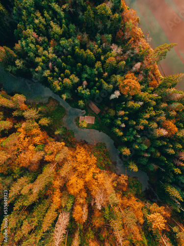 Aerial view of forest in autumn with colorful trees. drone photography. Colorful trees in the wood. Small river