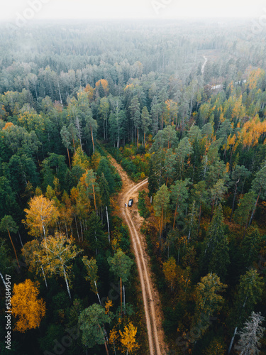 Aerial view of road in beautiful autumn forest at sunrise. Beautiful landscape with empty rural road, trees with red and orange leaves. Highway through the park. Top view from flying drone. Nature