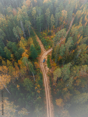 Aerial view of road in beautiful autumn forest at sunrise. Beautiful landscape with empty rural road, trees with red and orange leaves. Highway through the park. Top view from flying drone. Nature
