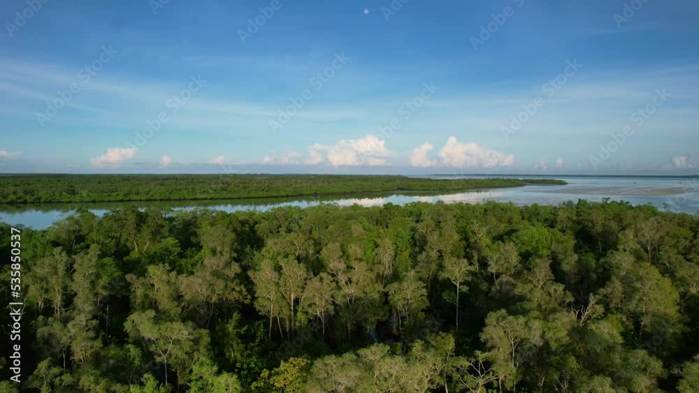 aerial of tree tops at Leebong Island on sunny morning sunrise with ocean coastline aerial of tree tops at Leebong Island on sunny morning sunrise with ocean coastline