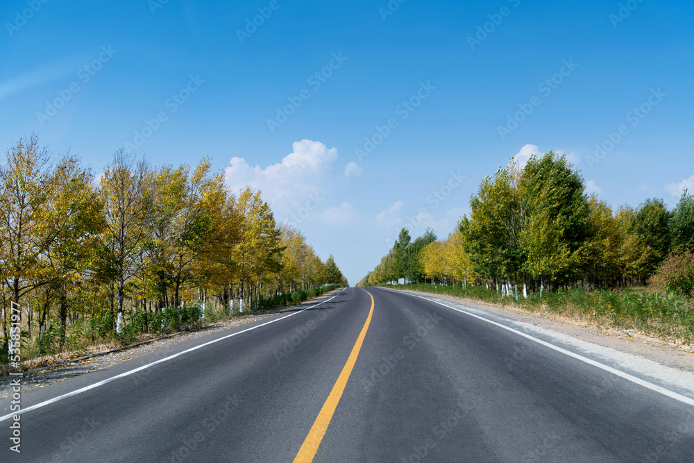 Curved asphalt road surrounded with trees on a sunny day