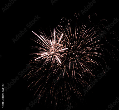 fireworks in the night sky