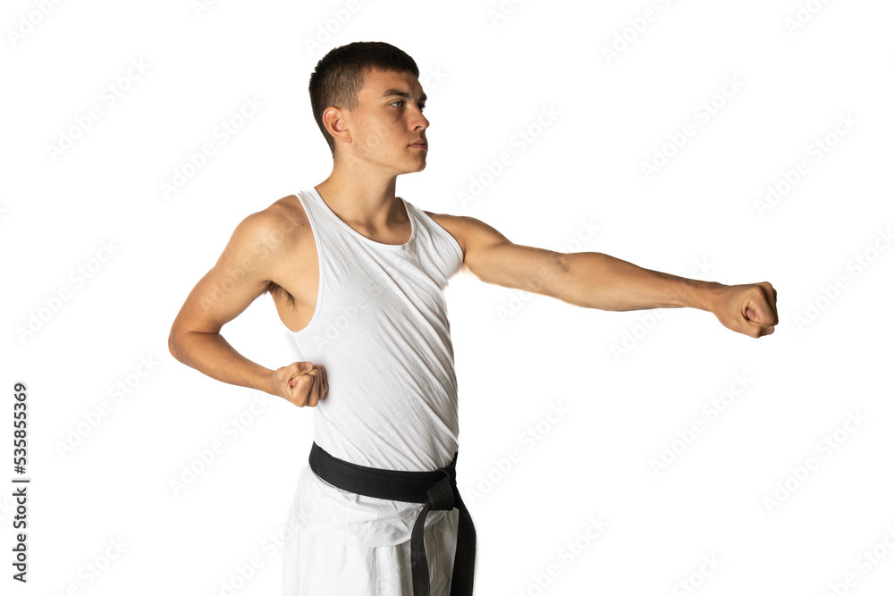 Teenage boy doing a Karate Strike Teenage boy doing a Karate Strike