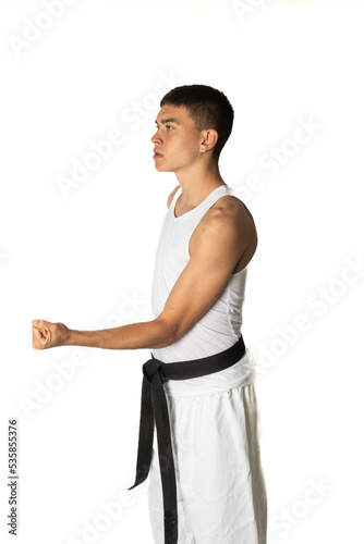 Teenage boy doing a Karate Strike photo