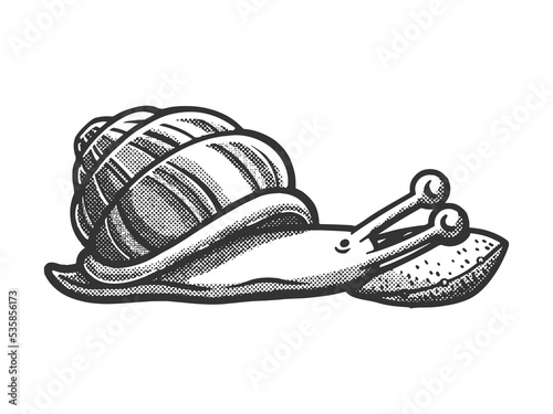 cartoon snail sleeping on pillow sketch engraving vector illustration. Scratch board imitation. Black and white hand drawn image.