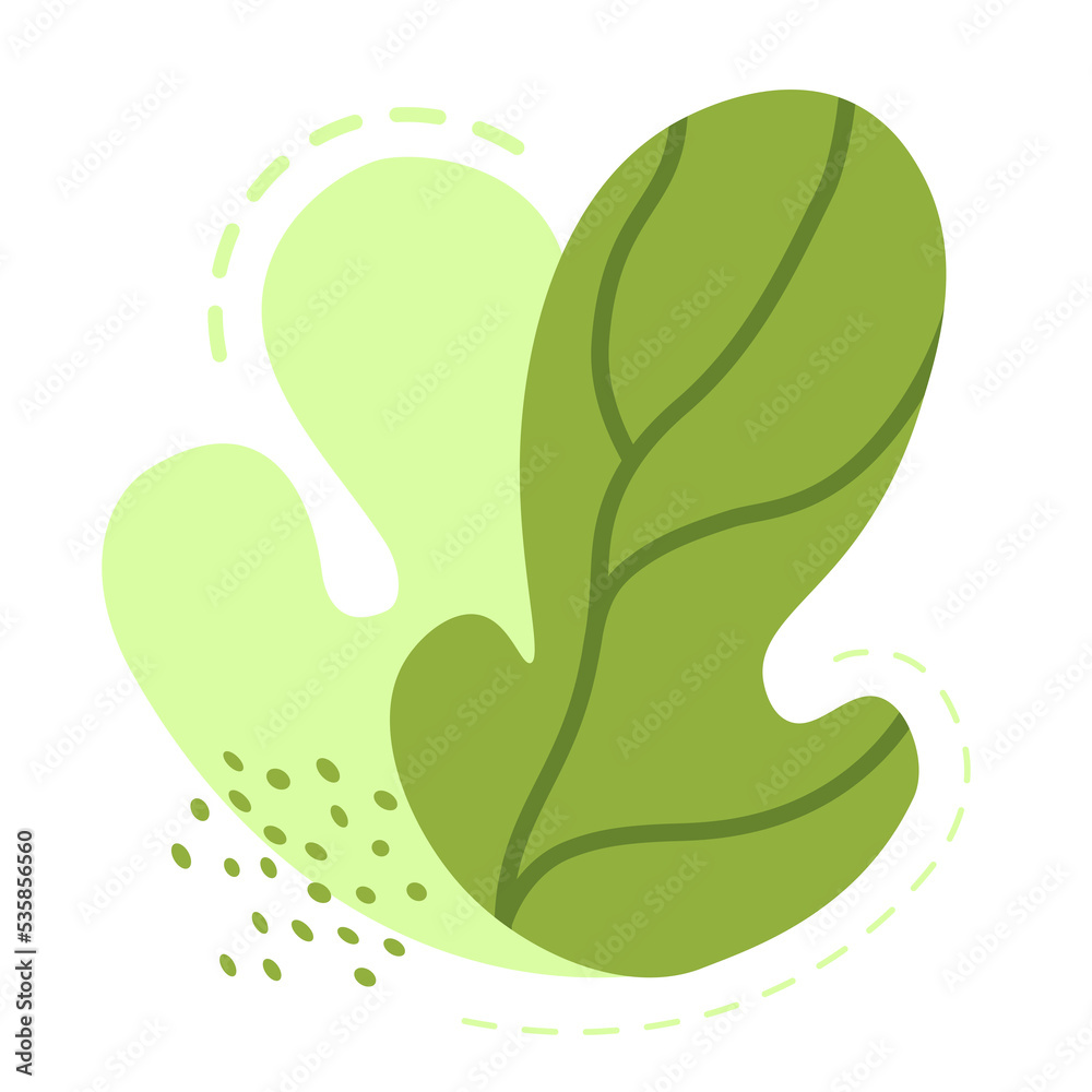 Abstract leaves. Isolated. Monstera leaves. PNG. Abstract leaves. Isolated. Monstera leaves. PNG.