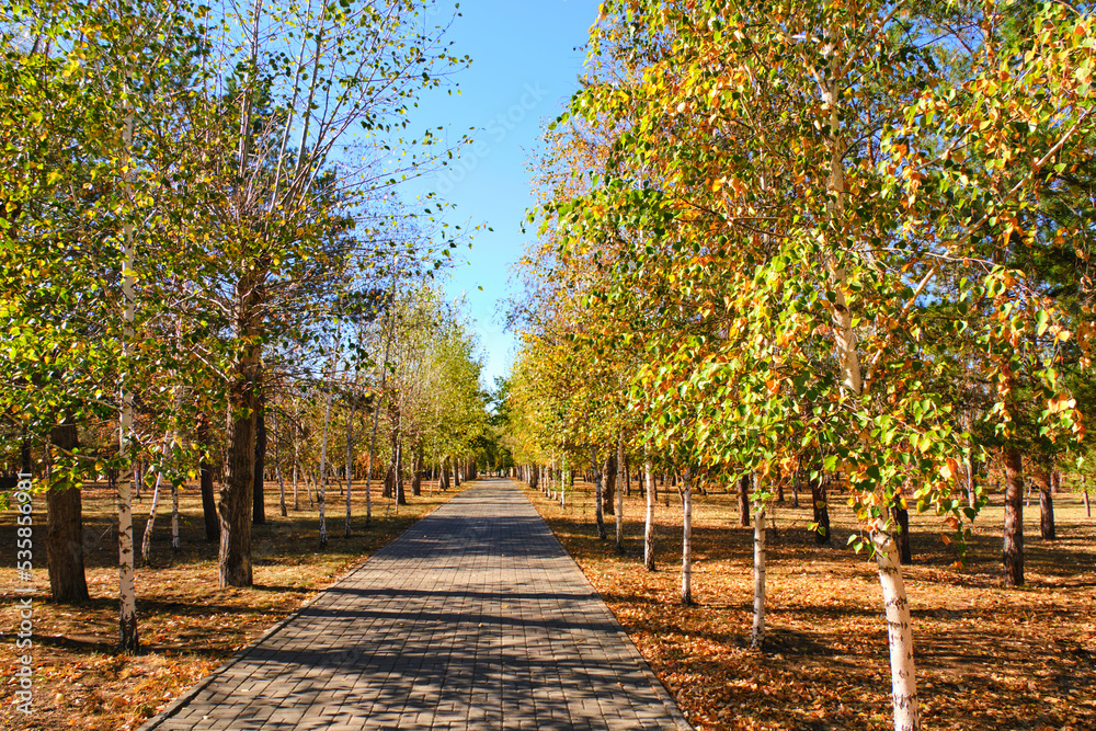 Public autumn park with yellowed foliage trees. Public autumn park with yellowed foliage trees.