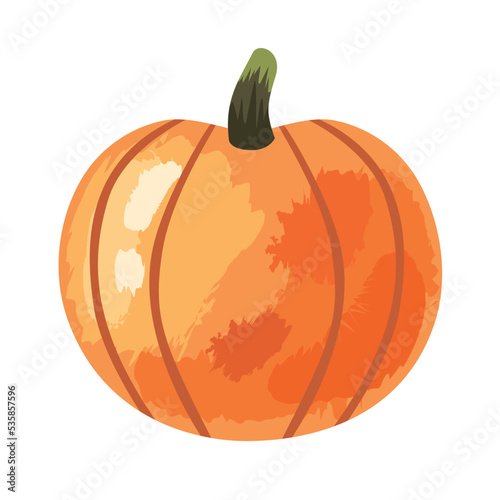 pumpkin vegetable autumn season