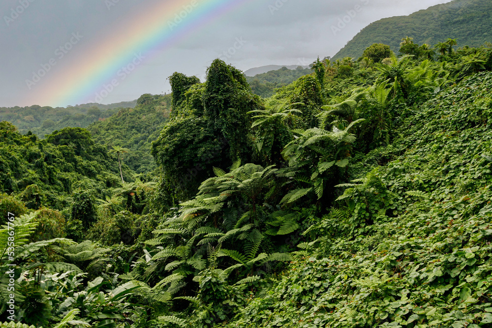 Jungle and mountains as seen from the dirt road across the Southern part of Pentecost Island, on the way to Bunlap, an isolated kastom (custom) village in the South-East of Pentecost Island, Vanuatu - obrazy, fototapety, plakaty 