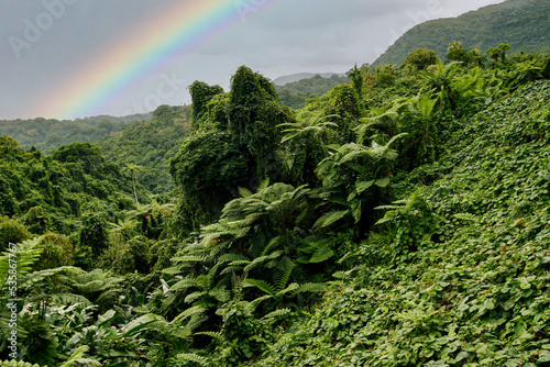 Jungle and mountains as seen from the dirt road across the Southern part of Pentecost Island, on the way to Bunlap, an isolated kastom (custom) village in the South-East of Pentecost Island, Vanuatu photo