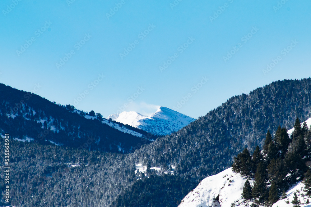 Winter mountains with snow, mist, animals, vulture, dog, ski, trees.