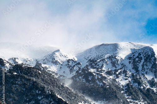 Winter mountains with snow, mist, animals, vulture, dog, ski, trees. © Ona