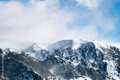 Winter mountains with snow, mist, animals, vulture, dog, ski, trees. © Ona