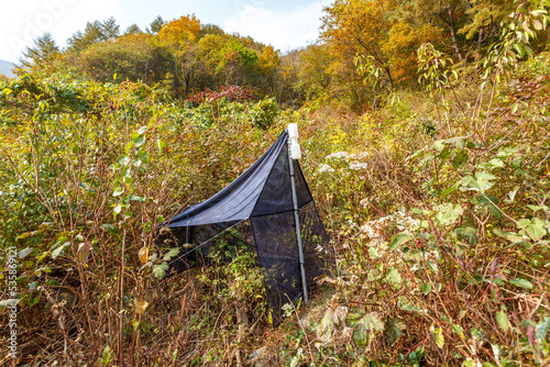 Malaise trap in tall grass, near a forest in Jirisan National Park (Mount Jiri), South Korea. It is a stationary insect trap used by entomologists to inventory insect fauna in a limited area