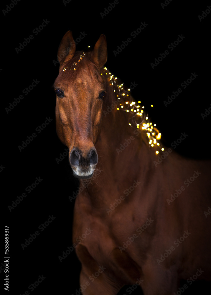 Obraz premium Horse in New year decor