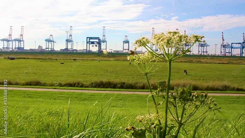 Shipyard cranes shipyard crane container port summer sunshine Bremerhaven Germany. Shipyard cranes shipyard crane container port summer sunshine Bremerhaven Germany.