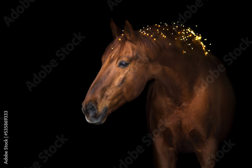 Horse in New year decor