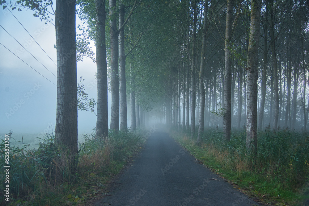 Obraz premium Nebelstimmung im Val d'Oise in frankreich