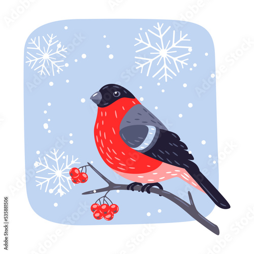 Winter illustration of bird bullfinch and rowan berries. Merry Christmas and Happy New Year card.