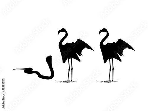 Flamingo and Cobra Silhouette. Art Illustration for Nature and Animal Themes. Vector Illustration