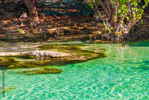 Fototapeta Naklejka Na Ścianę i Meble -  Small beautiful Cenote cave with river turquoise blue water Mexico.