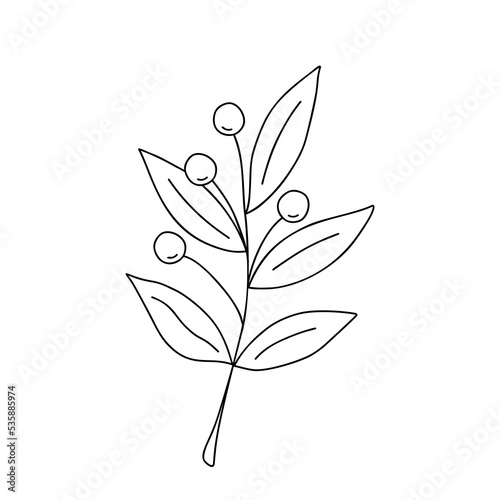 Outline plant decorative branch with leaves and berries for home decor  Christmas  New Year festive holiday arrangement  vector illustration for seasonal greeting card  invitation  banner