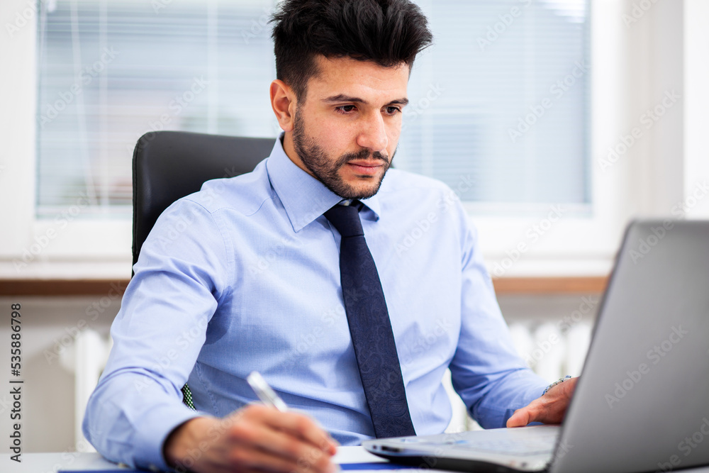 Attractive manager at work in his office
