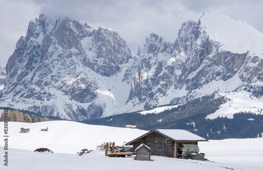 Alpe di Siusi - South Tyrol - Alto Adige - Bolzano, Italy