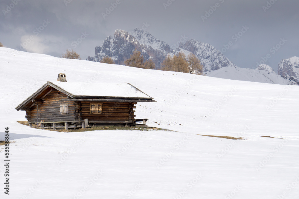 Alpe di Siusi - South Tyrol - Alto Adige - Bolzano, Italy