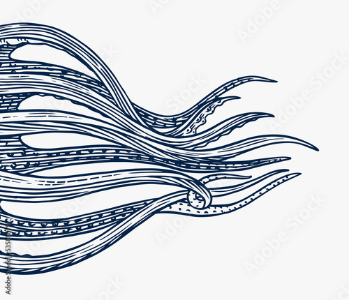 Octopus tentacles. Engraved hand drawn in old sketch, vintage creature. Nautical or marine, monster. Animal in the ocean. Template for logos, labels and emblems.