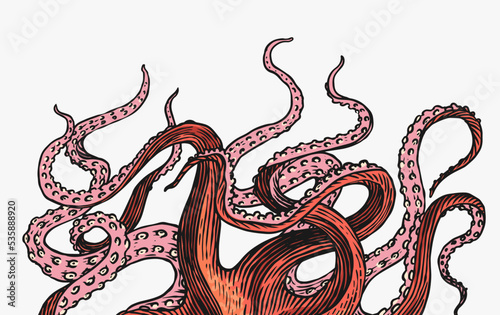 Octopus tentacles. Engraved hand drawn in old sketch, vintage creature. Nautical or marine, monster. Animal in the ocean. Template for logos, labels and emblems.